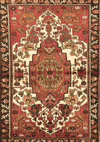 Persian Brown Traditional Rug, tr2851brn