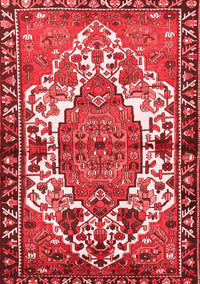 Persian Red Traditional Rug, tr2851red
