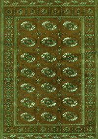 Persian Green Traditional Rug, tr2854grn