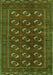 Persian Green Traditional Rug, tr2854grn