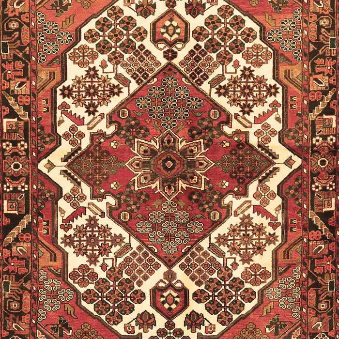 Persian Brown Traditional Rug, tr2857brn