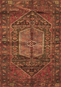 Persian Brown Traditional Rug, tr2863brn