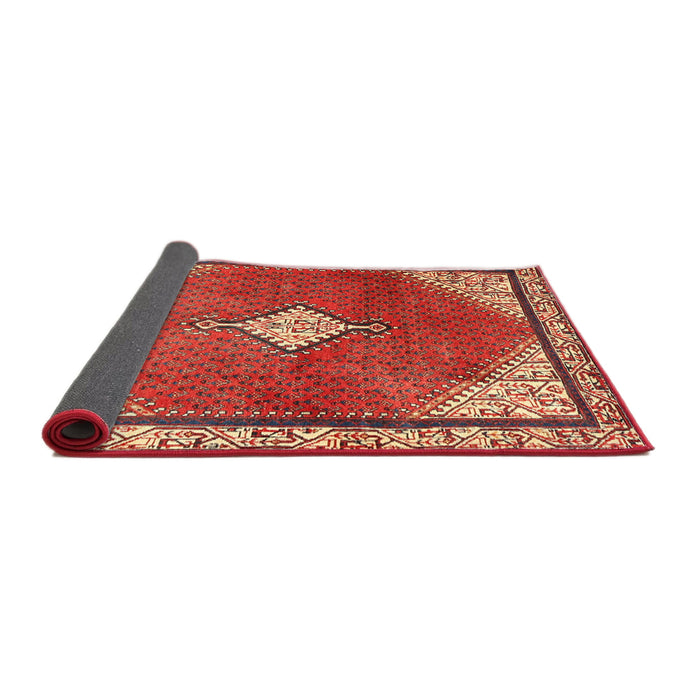 Sideview of Traditional Red Medallion Rug, tr2869