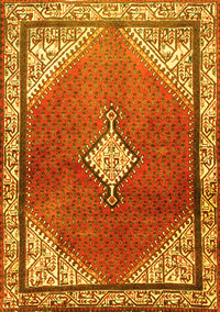 Medallion Yellow Traditional Rug, tr2869yw