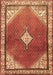 Medallion Brown Traditional Rug, tr2869brn