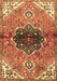 Machine Washable Persian Brown Traditional Rug, wshtr2871brn