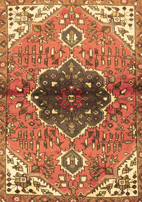 Persian Brown Traditional Rug, tr2871brn