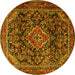 Round Machine Washable Persian Yellow Traditional Rug, wshtr2873yw