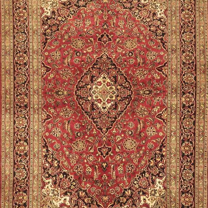 Medallion Brown Traditional Rug, tr2874brn