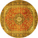 Round Medallion Yellow Traditional Rug, tr2876yw