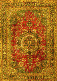 Medallion Yellow Traditional Rug, tr2878yw