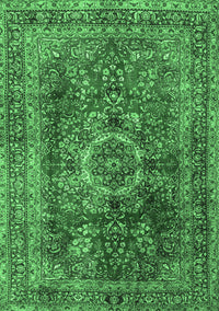 Medallion Emerald Green Traditional Rug, tr2878emgrn