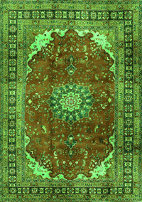 Medallion Green Traditional Rug, tr2879grn