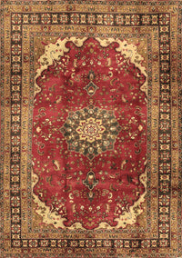 Medallion Brown Traditional Rug, tr2879brn