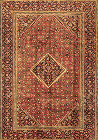 Medallion Brown Traditional Rug, tr2881brn