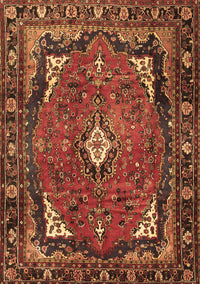 Persian Brown Traditional Rug, tr2882brn