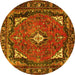 Round Persian Yellow Traditional Rug, tr2882yw