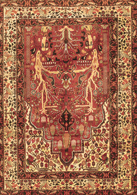 Persian Brown Traditional Rug, tr2884brn