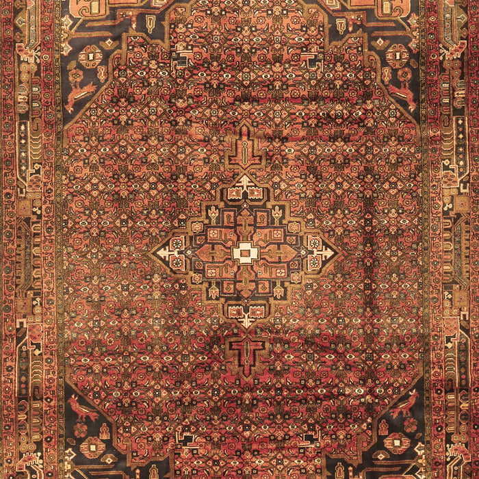 Persian Brown Traditional Rug, tr2886brn