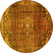 Round Persian Yellow Traditional Rug, tr2886yw