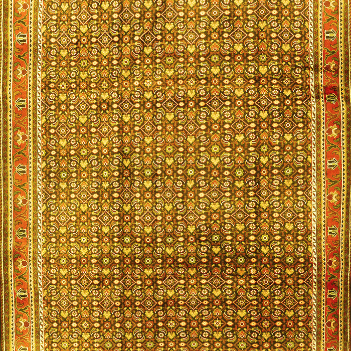 Persian Yellow Traditional Rug, tr2889yw