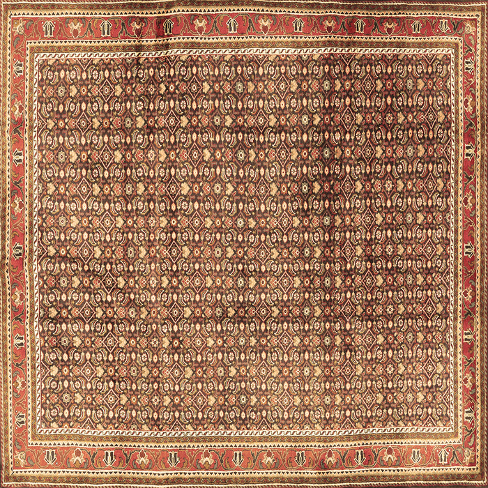 Square Persian Brown Traditional Rug, tr2889brn