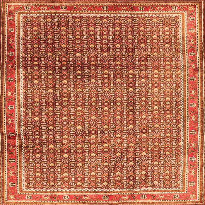 Serging Thickness of Persian Orange Traditional Rug, tr2889org
