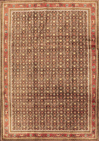 Persian Brown Traditional Rug, tr2889brn