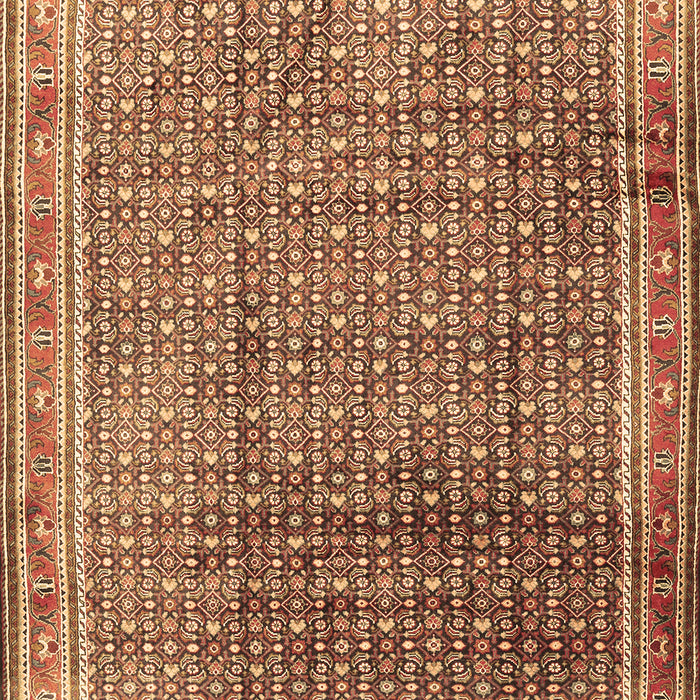 Machine Washable Persian Brown Traditional Rug, wshtr2889brn