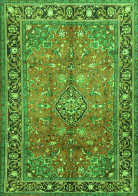 Persian Green Traditional Rug, tr2890grn
