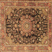 Square Persian Brown Traditional Rug, tr2891brn