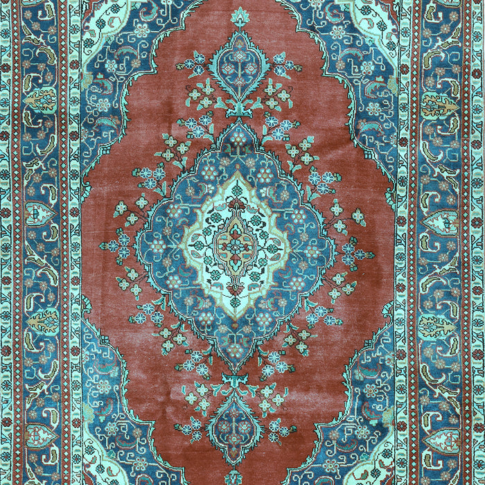 Medallion Light Blue Traditional Rug, tr2893lblu