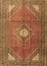 Machine Washable Medallion Brown Traditional Rug, wshtr2896brn