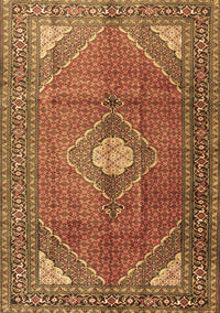 Medallion Brown Traditional Rug, tr2896brn