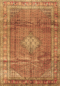 Persian Brown Traditional Rug, tr2898brn