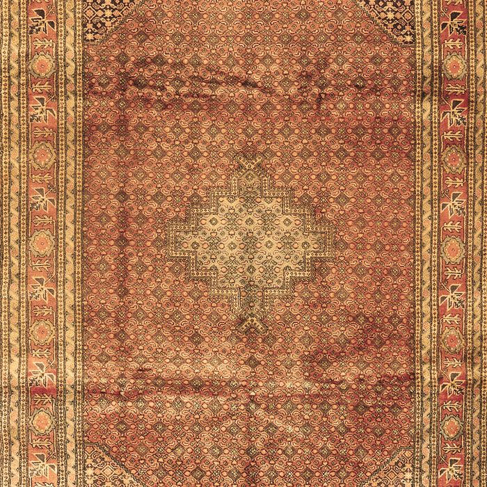 Persian Brown Traditional Rug, tr2898brn