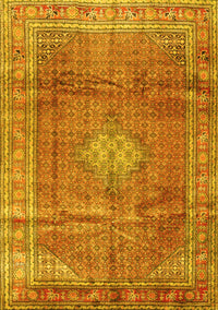 Persian Yellow Traditional Rug, tr2898yw