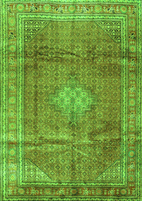 Persian Green Traditional Rug, tr2898grn