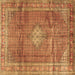 Square Machine Washable Persian Brown Traditional Rug, wshtr2898brn