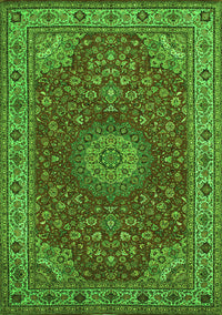 Medallion Green Traditional Rug, tr28grn