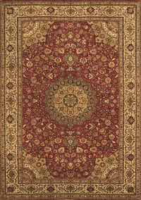 Medallion Brown Traditional Rug, tr28brn