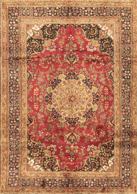 Medallion Brown Traditional Rug, tr2900brn