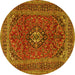 Round Medallion Yellow Traditional Rug, tr2902yw