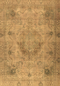 Persian Brown Traditional Rug, tr2903brn