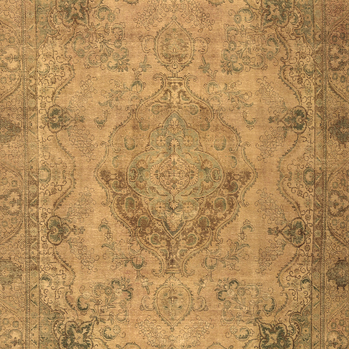 Persian Brown Traditional Rug, tr2903brn