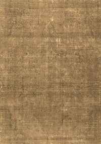 Persian Brown Traditional Rug, tr2905brn