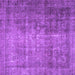 Square Persian Purple Traditional Rug, tr2908pur