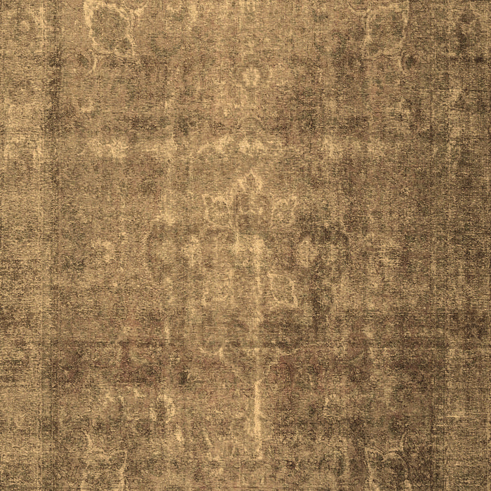 Persian Brown Traditional Rug, tr2908brn