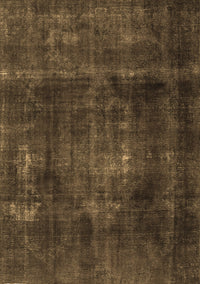 Persian Brown Traditional Rug, tr2910brn