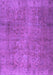 Persian Purple Traditional Rug, tr2911pur